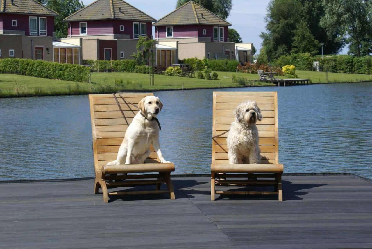 Maxime 207 - Kustpark Village Scaldia Hoofdplaat Dış mekan fotoğraf